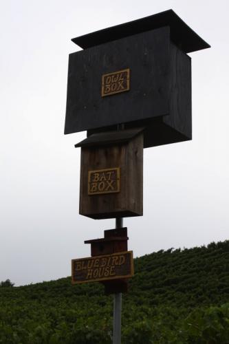 8.29.2010