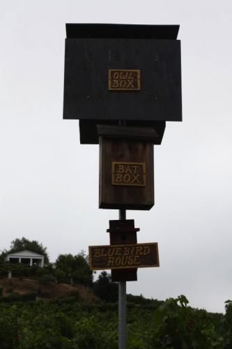 8.29.2010