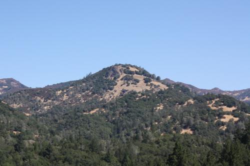 8.29.2010