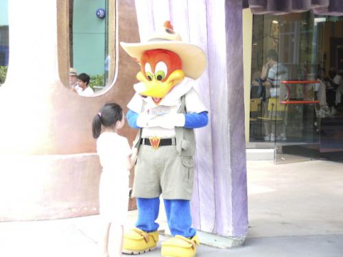 6.12.2008