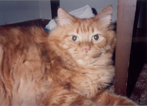 11.9.2007