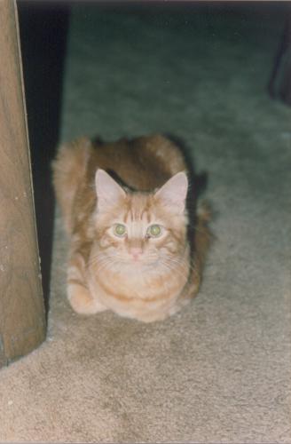11.9.2007