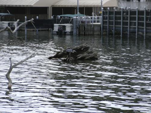 6.9.2008
