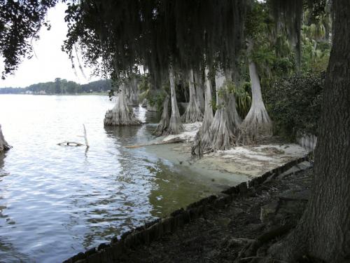 6.9.2008